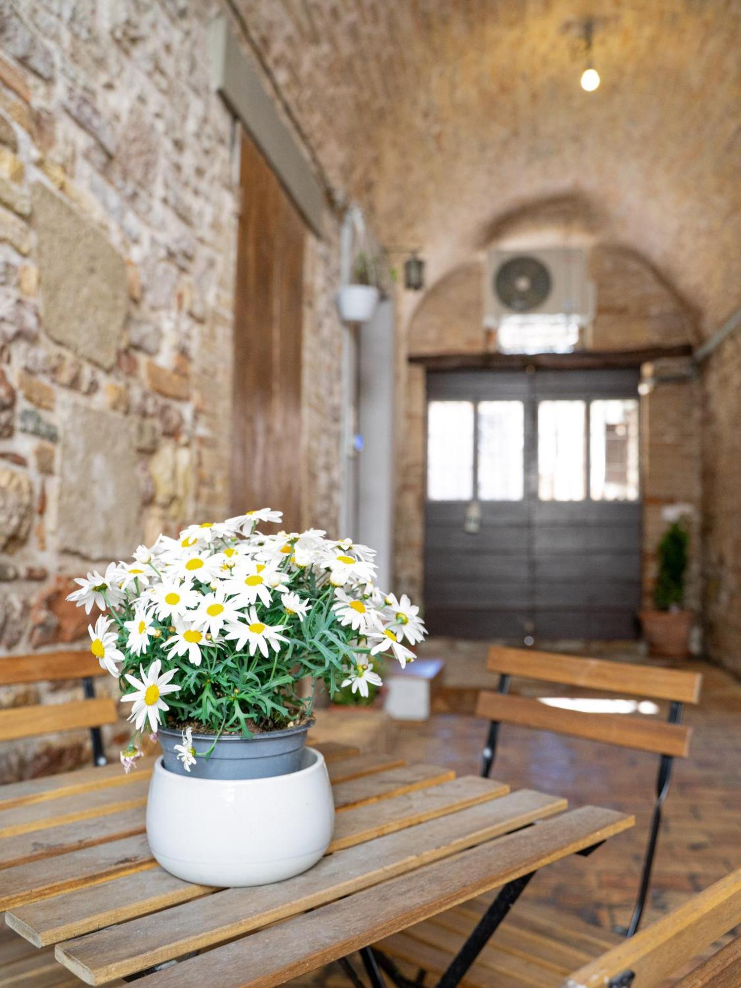 La Casa Dell'Artista Apartment อัสซิซี ภายนอก รูปภาพ